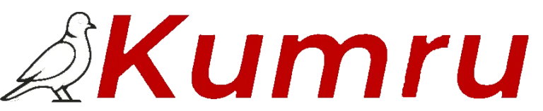 Kumru AI Nedir? Türkiye’nin Yerli Yapay Zeka Modeli İncelemesi